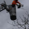 #11: Baum auf Gebäude